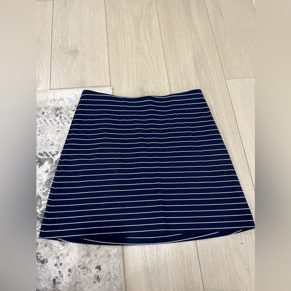 Express Striped Skirt